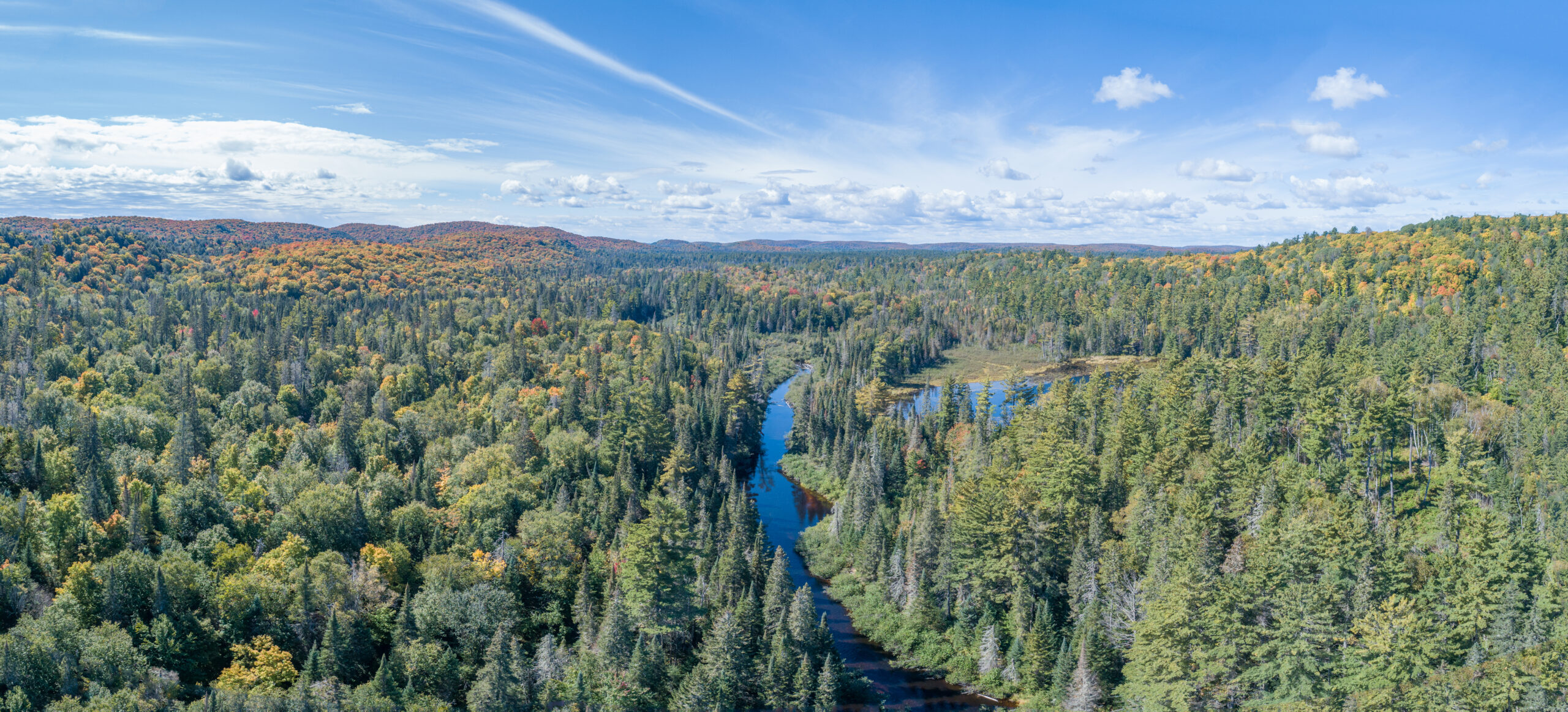 Aerial,Of,Changing,Autumn,Leaves,In,Northern,Ontario,Canada